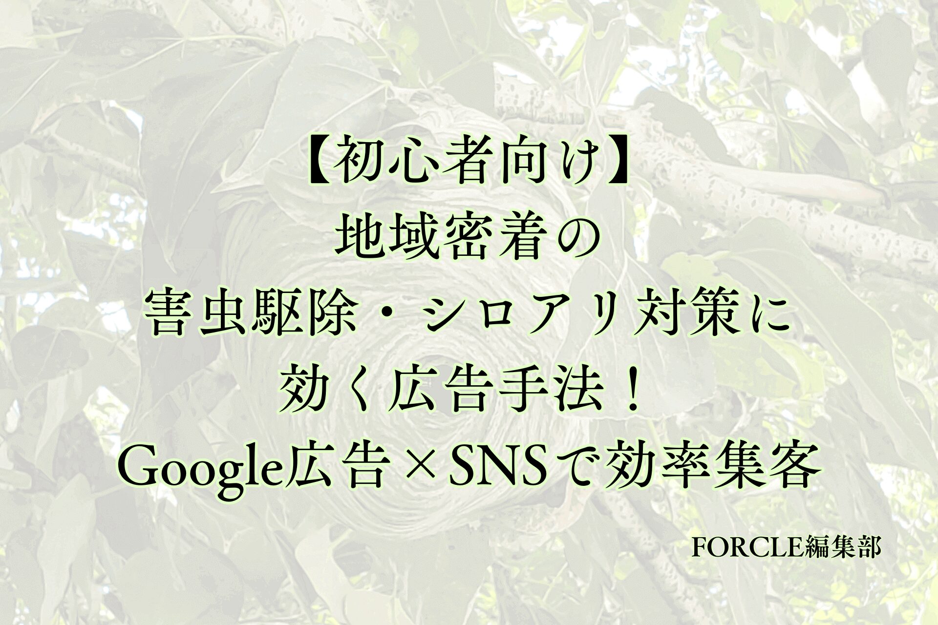 【初心者向け】地域密着の害虫駆除・シロアリ対策に効く広告手法！Google広告×SNSで効率集客