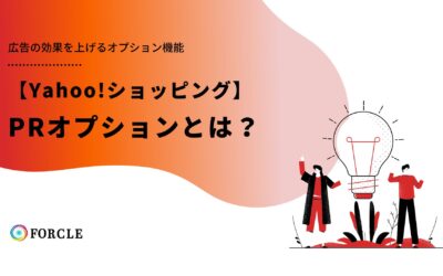 ＰＲオプションとは