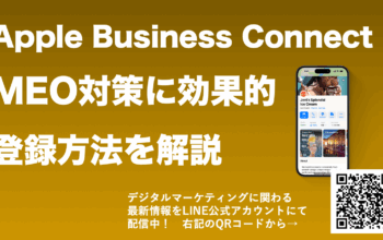 Apple Business Connect