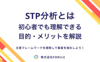 STP分析